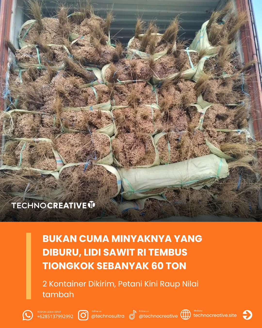Bukan Cuma Minyaknya, Lidi Sawit Indonesia Tembus Pasar Tiongkok Sebanyak 60 Ton