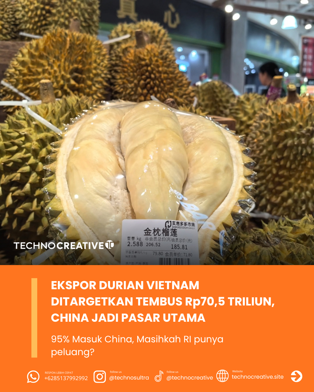 Ekspor Durian Vietnam Ditargetkan Tembus Rp70,5 Triliun, China Jadi Pasar Utama: Masihkah RI Punya Peluang?